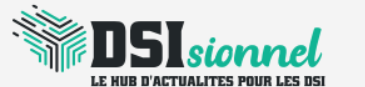 DSIsionnel logo